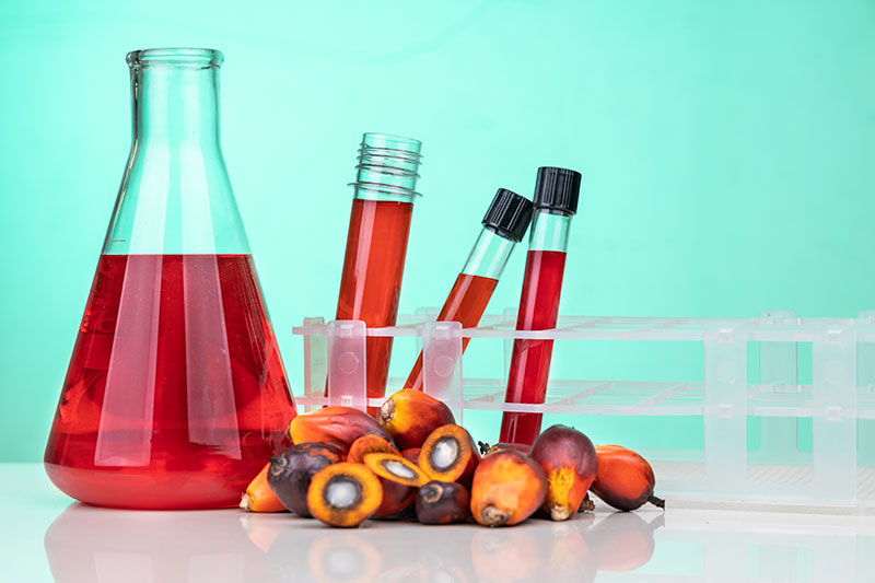 Una bottiglia e alcune provette che contengono olio di palma rosso + dei frutti della palma da cui viene estratto