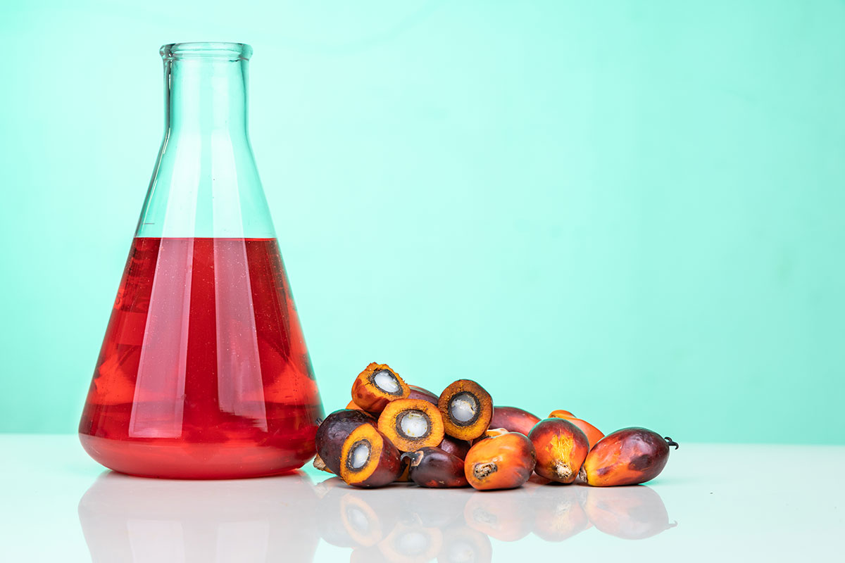 Olio di palma in bottiglia, con accanto i frutti rossi